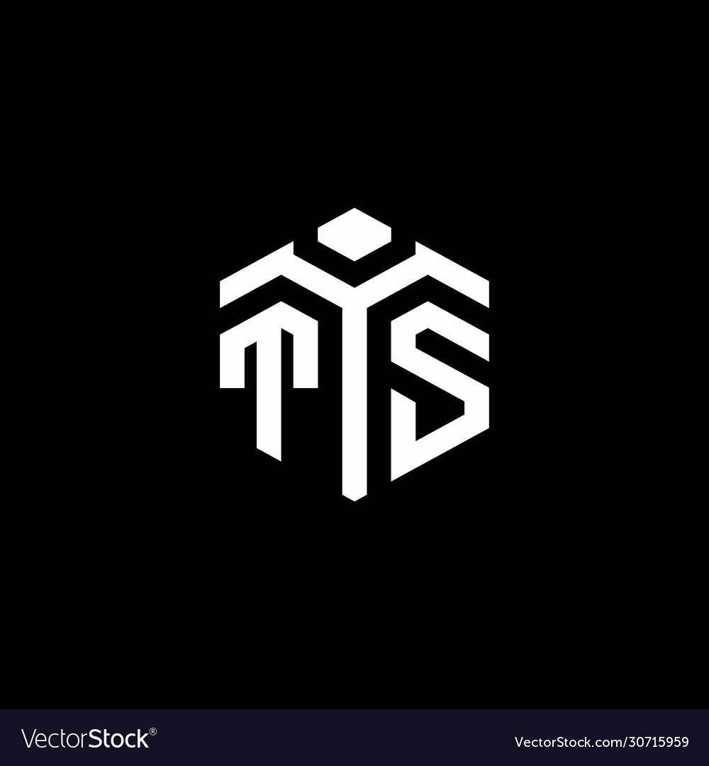 Ts monogram logo with abstract hexagon style