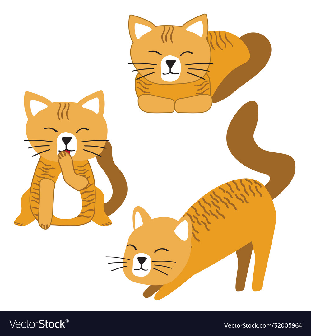 Cat or kitten character design set vector image Cat or kitten character design set