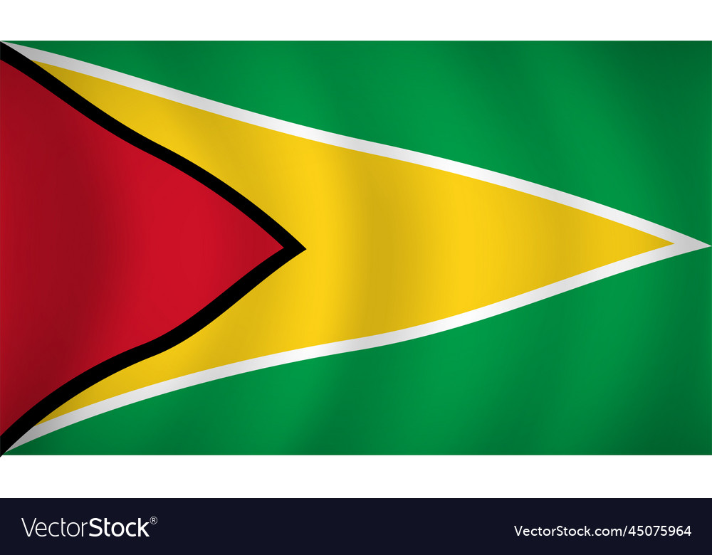 Guyana flag background Royalty Free Vector Image