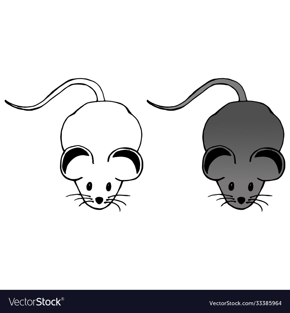 Mouse hand drawn cartoon funny rat