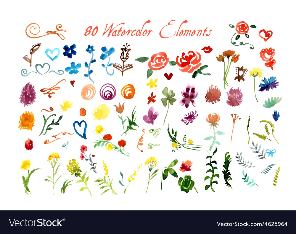 Set of watercolor floral elements