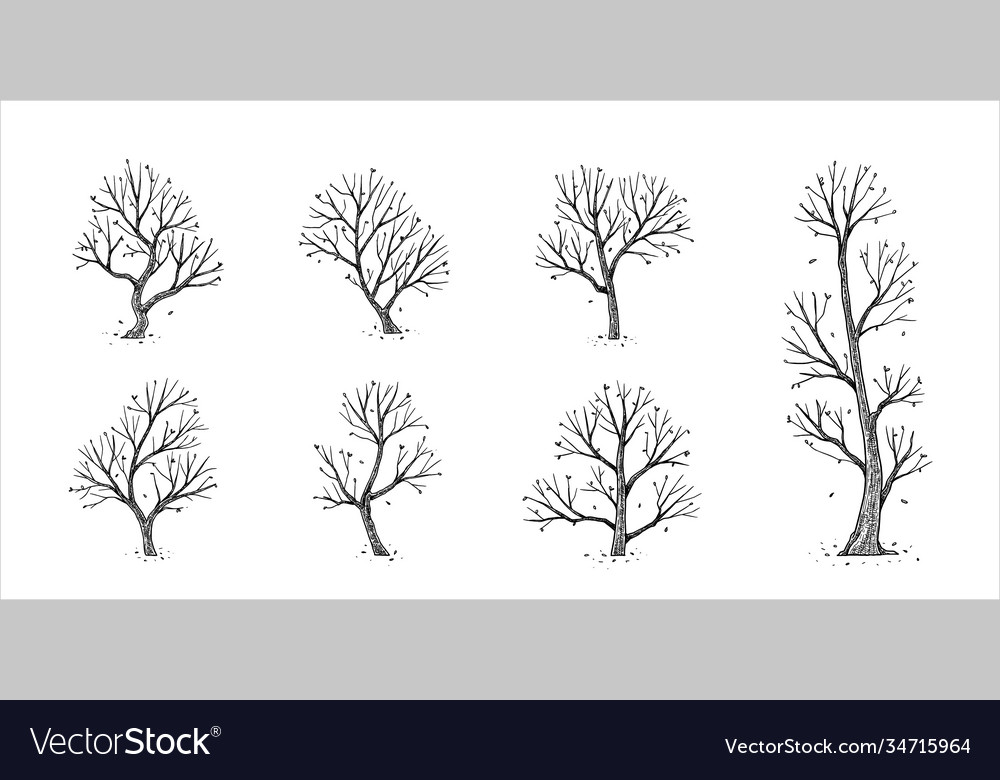 Tree-013-2