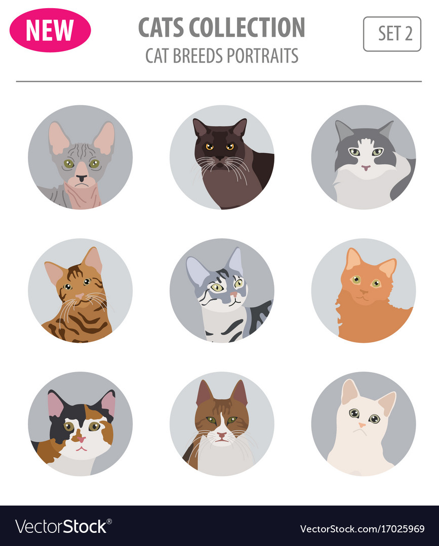 Free Vector  Domestic cat breeds flat icons collection