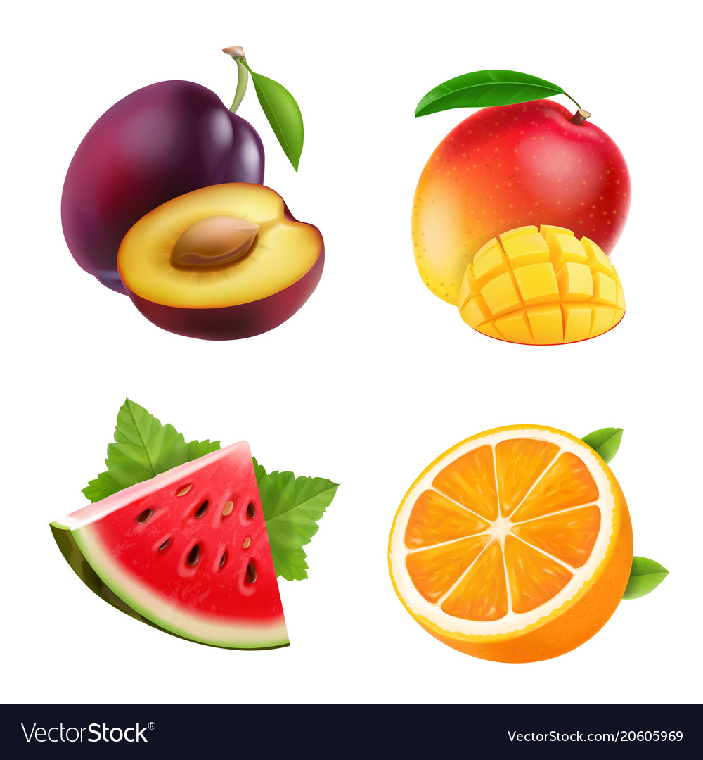 Fruits Orange Plum Watermelon And Mango Royalty Free Vector