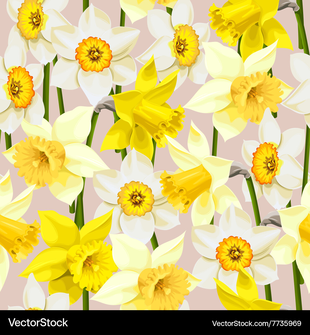 Seamless White And Yellow Daffodils Royalty Free Vector
