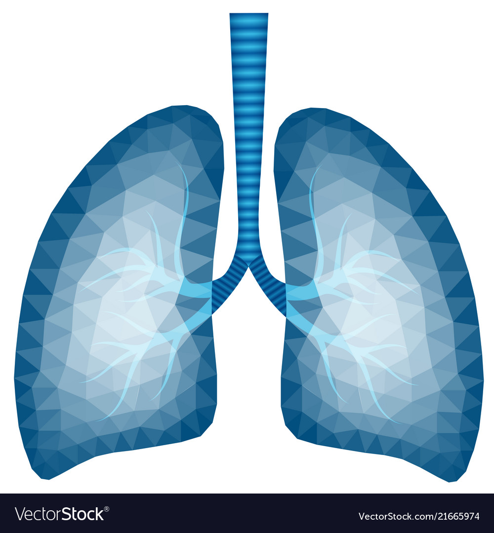 Abstraktes polygonales Bild der menschlichen Lunge