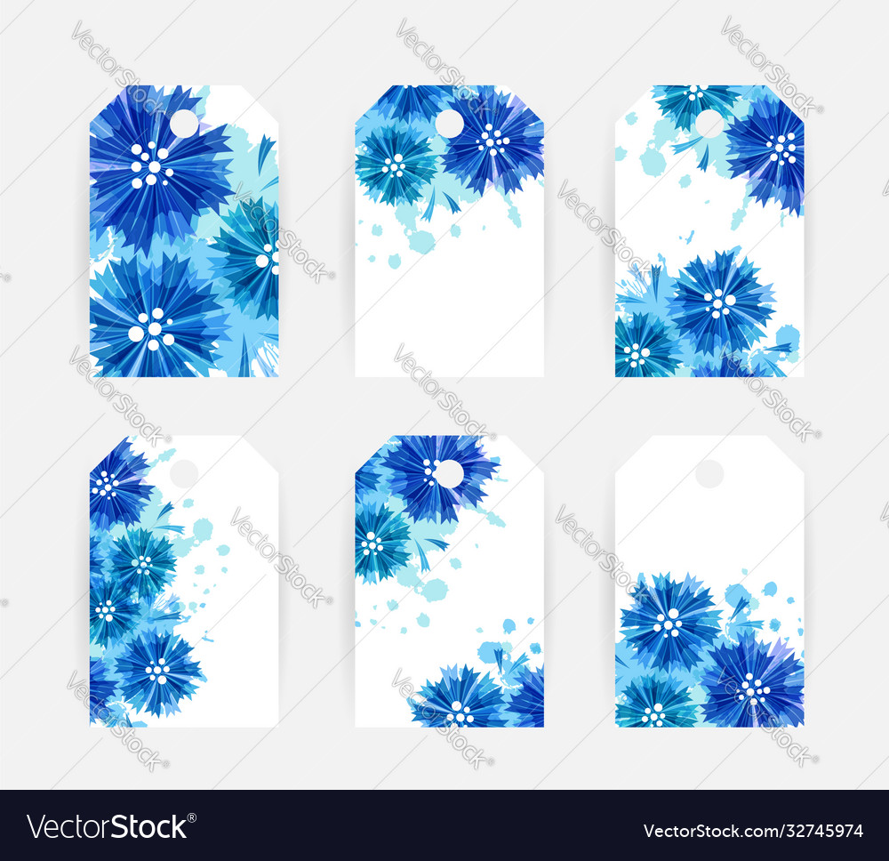 Romantic background with blue cornflowers