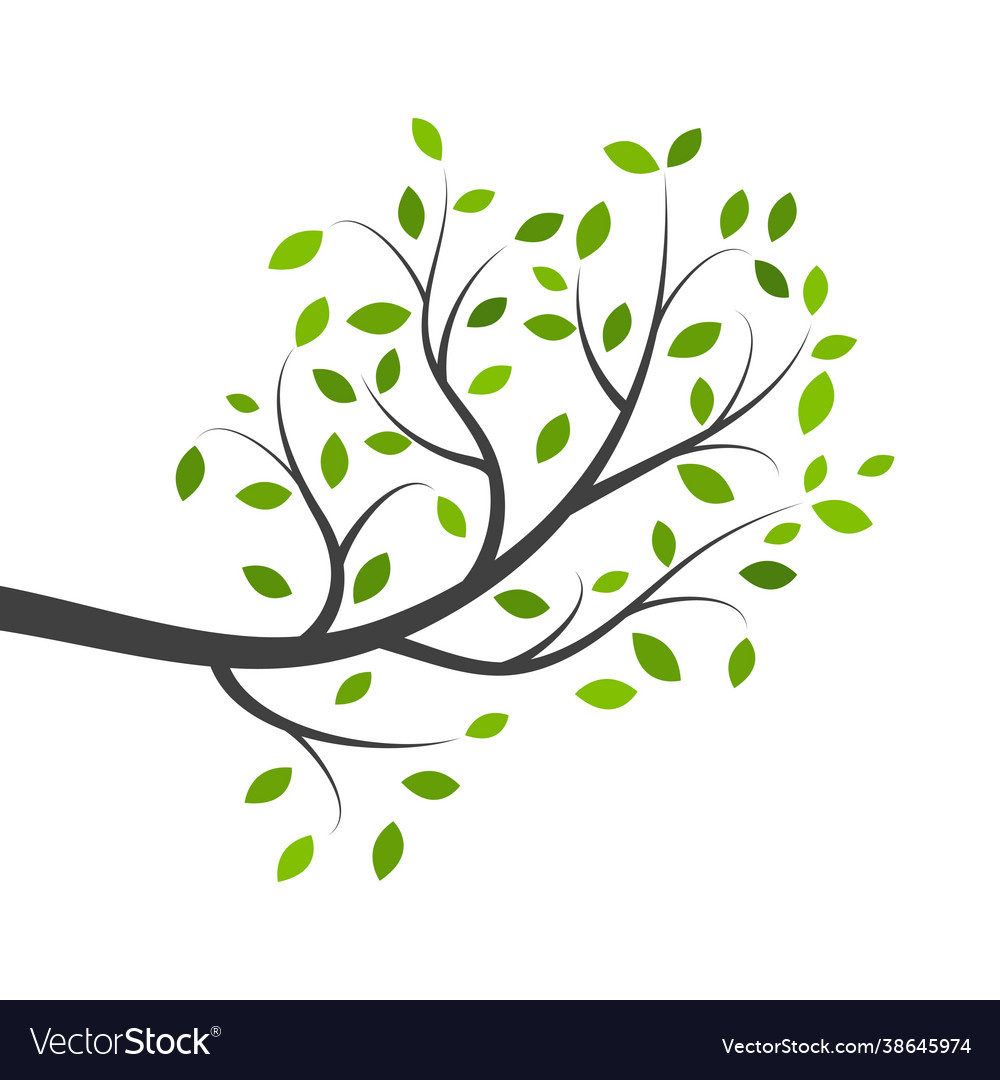 Tree branch design vector image Tree branch design