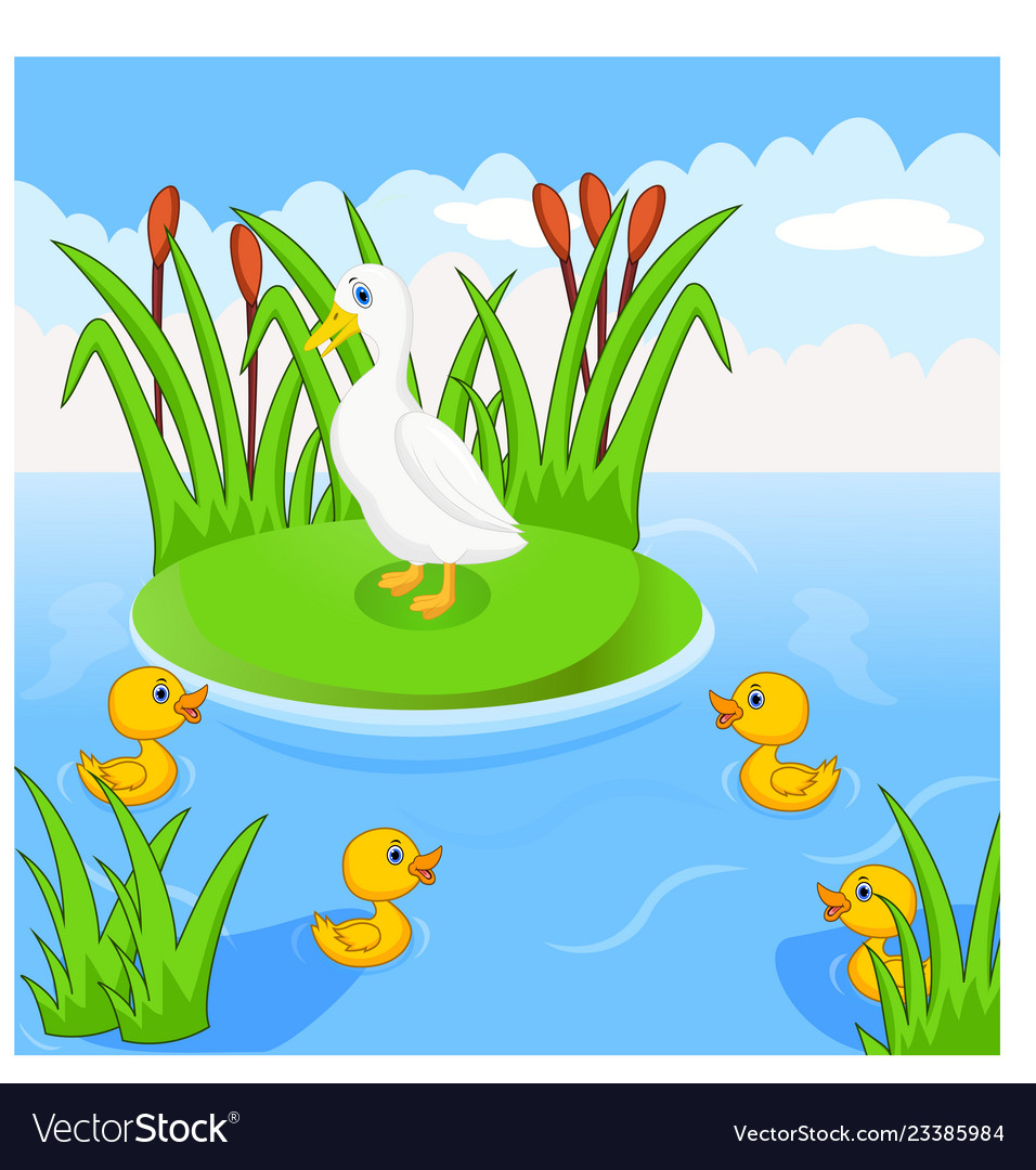 Mother duck swims with her four little cute Vector Image