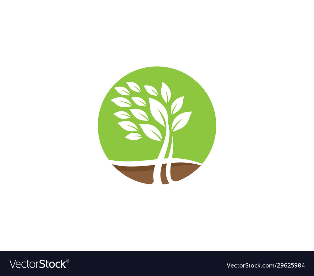 Tree symbol icon vector image Tree symbol icon