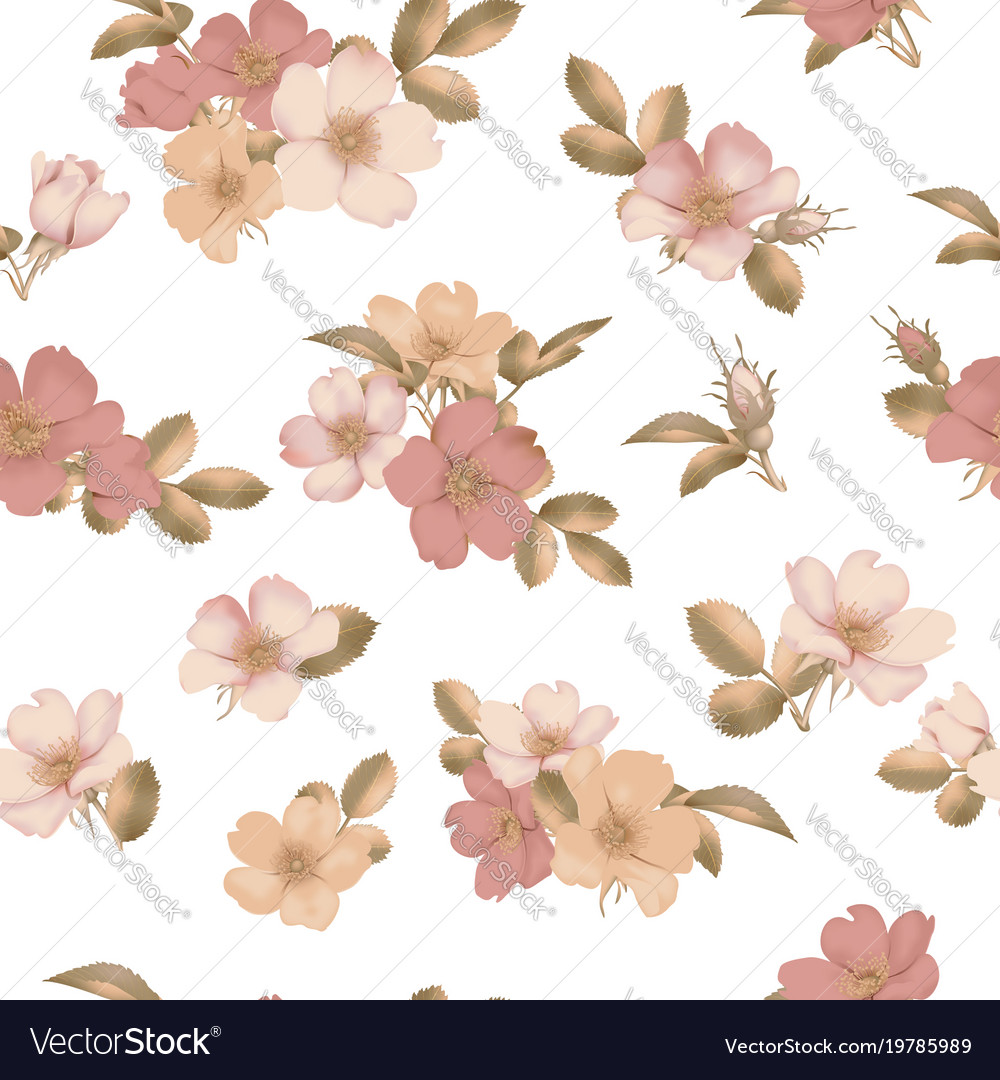 Dog-rose blooms wild rose seamless pattern