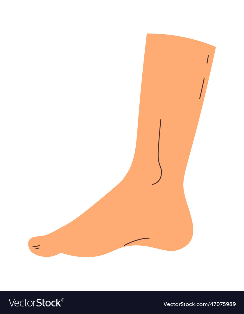 Hand drawn human foot Royalty Free Vector Image