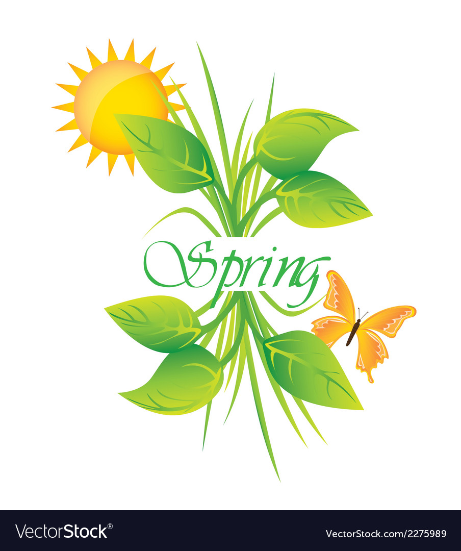 Spring and summer background