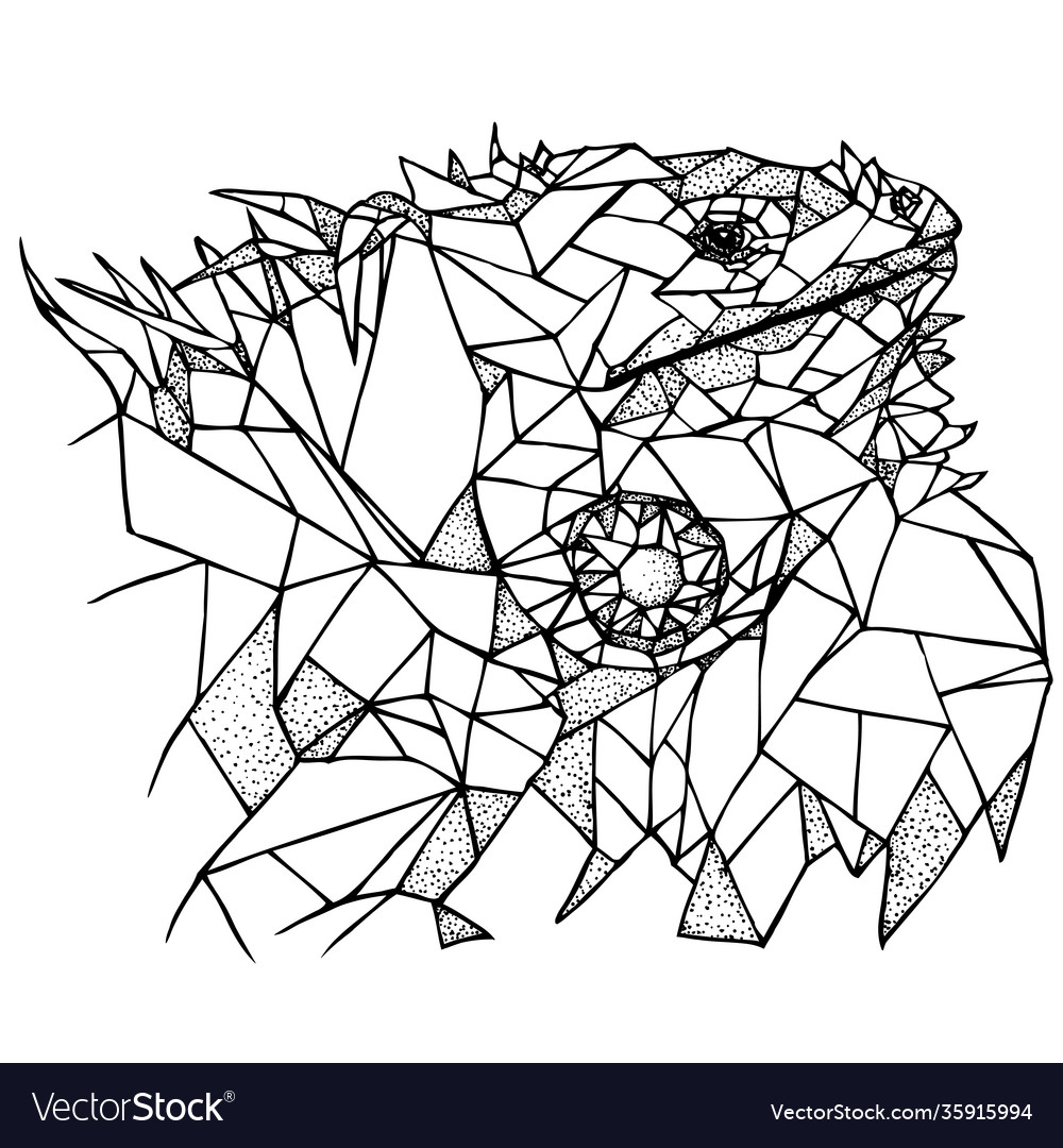 Iguana in angular low poly style vector image Iguana in angular low poly style