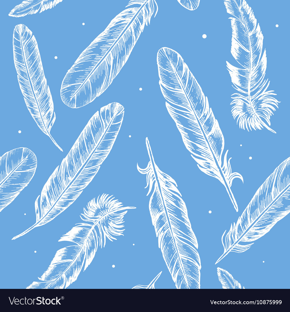 Feathers hand draw sketch background pattern