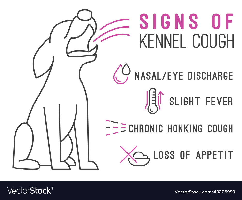 Possible Signs Of Kennel Cough Canine Infectious Vector Image
