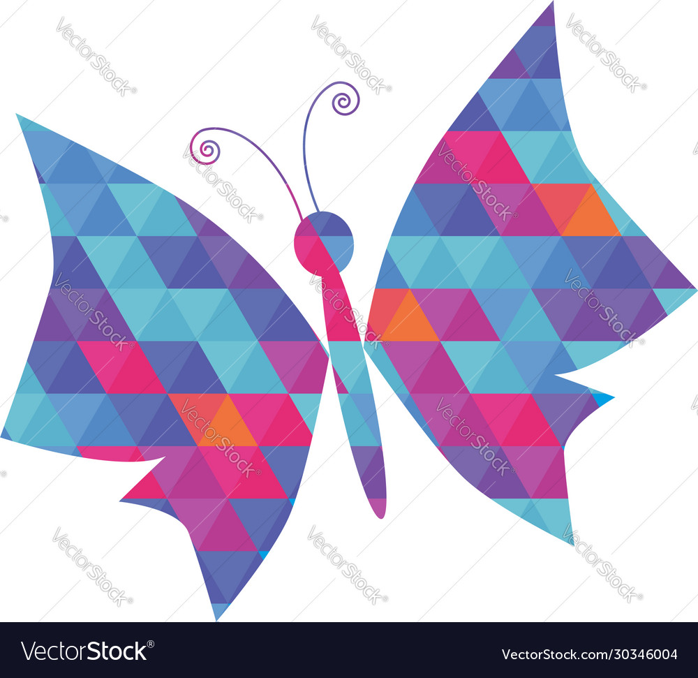 Butterfly with coloured triangle pattern