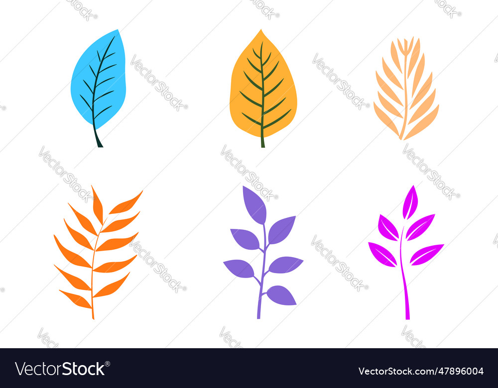 Set of colorful leaves on a white background