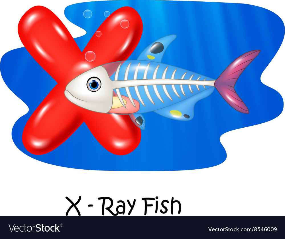 Cartoon X of letter X-ray fish Royalty Free Vector Image