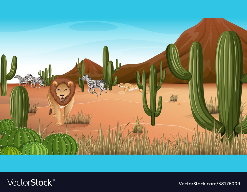 Desert forest landscape at daytime scene