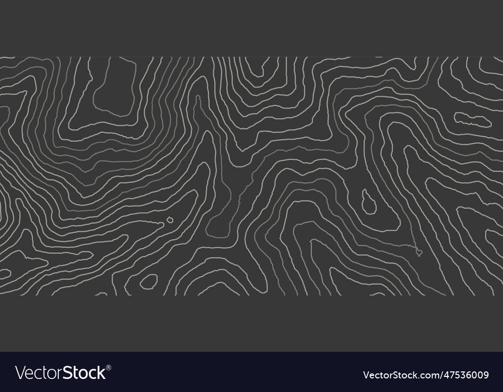 Topographic map pattern contour background vector image Topographic map pattern contour background
