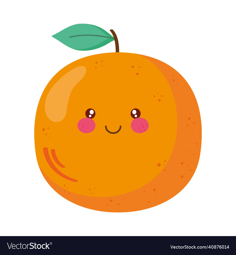 Delicious orange fruit Royalty Free Vector Image