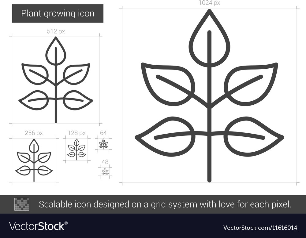 Pflanze wächst Linie Icon