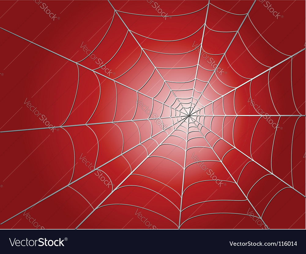 Spider Web on Red Background