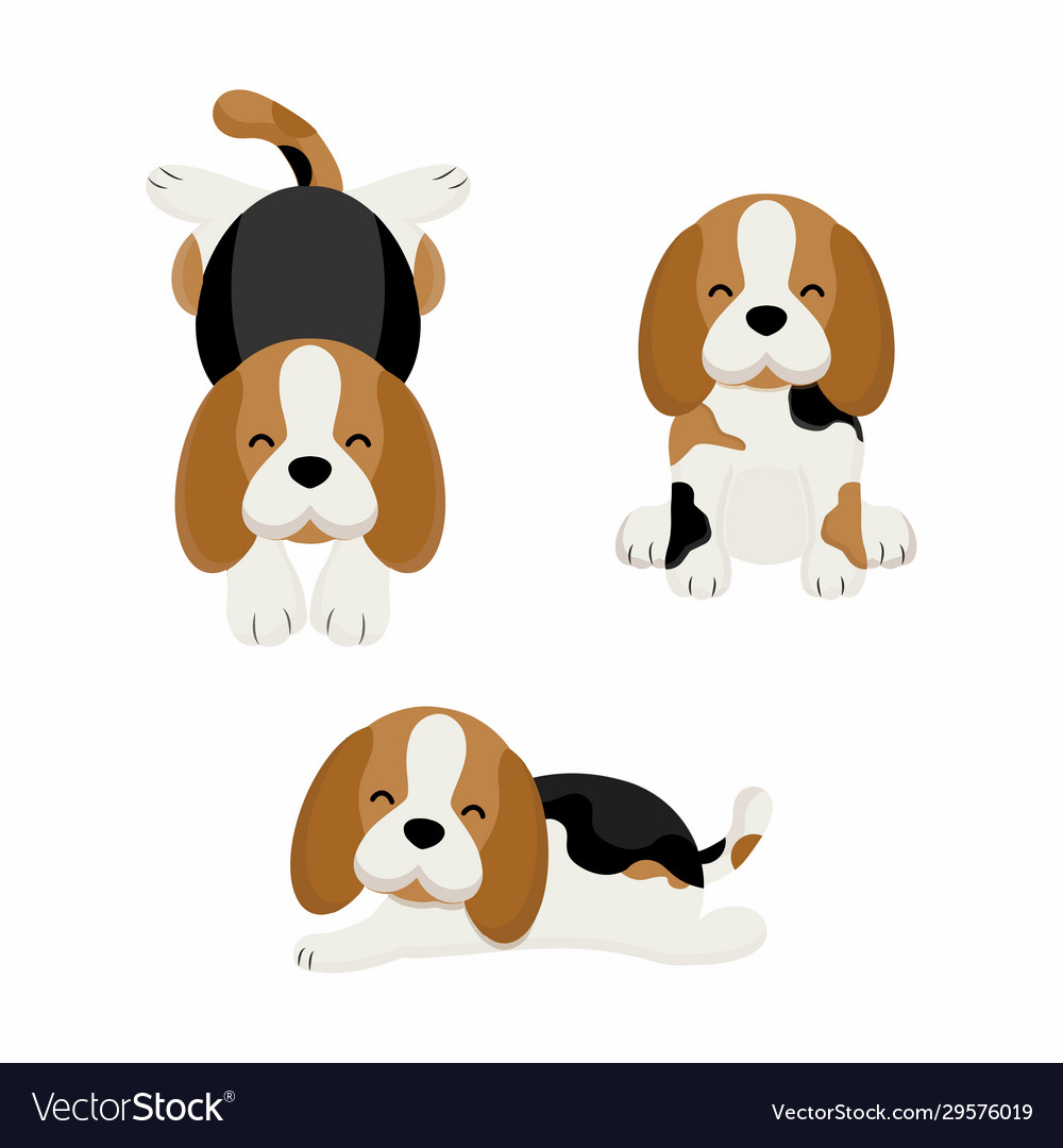 Cute beagle dog cartoon Royalty Free Vector Image