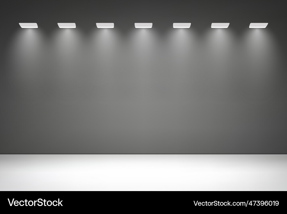 Empty studio room background with spotlight Vector Image