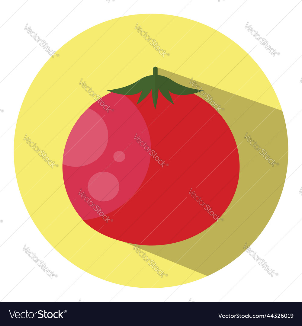 Fresh red tomato on a white background