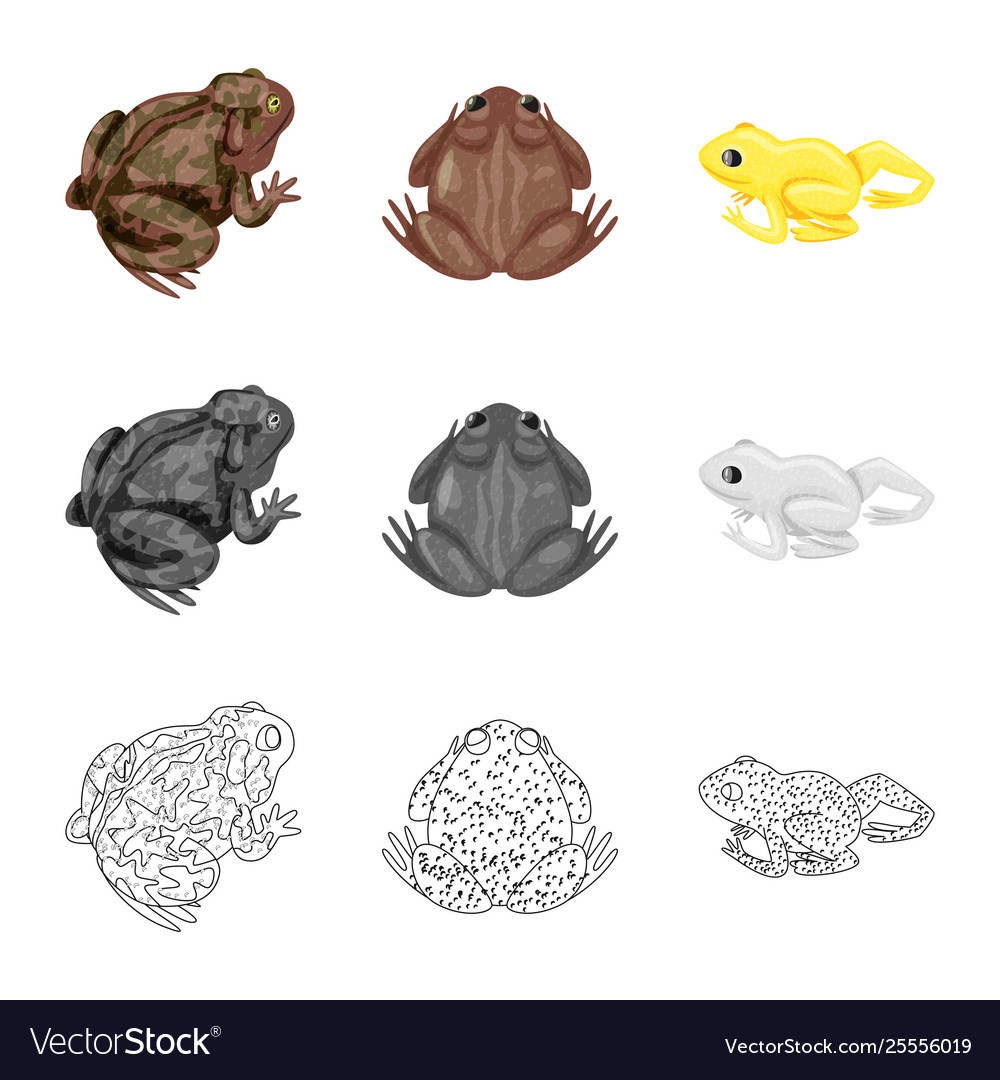 Isolated object wildlife and bog symbol set