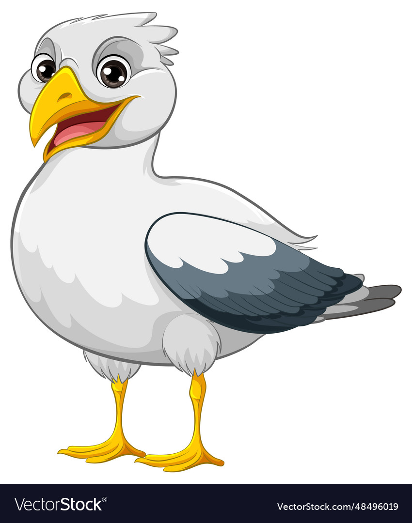 Seagull standing isolated Royalty Free Vector Image