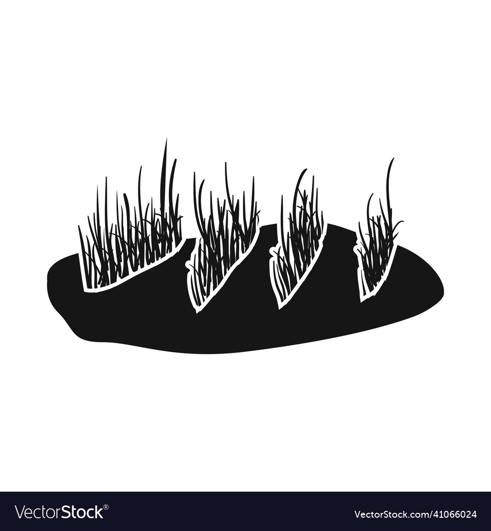 Isolated object of rice and field icon collection