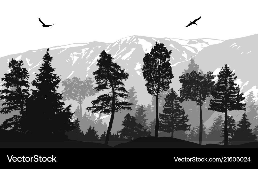 Pine forest landscape background Royalty Free Vector Image