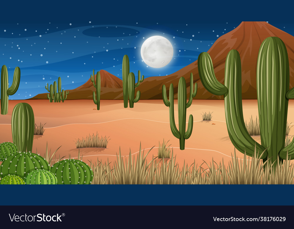 Desert forest landscape at night scene