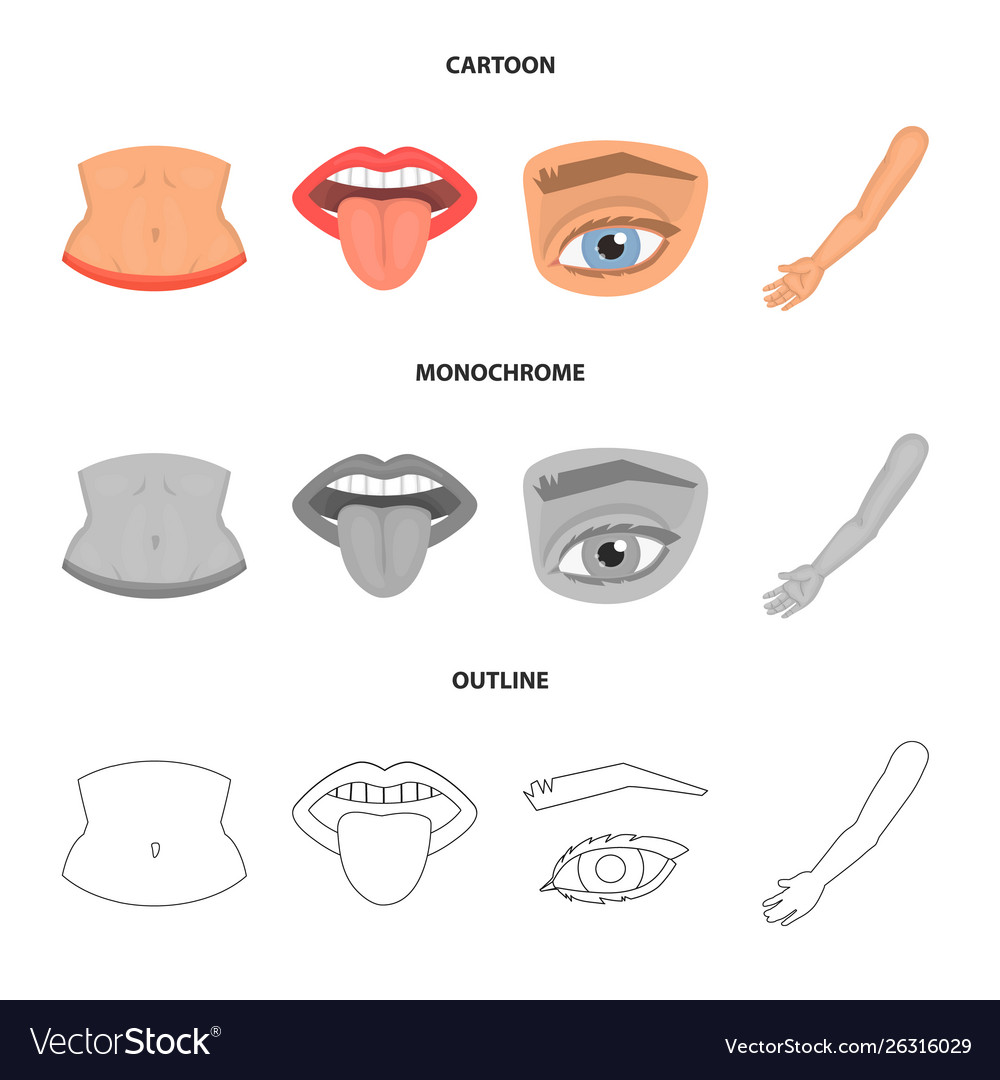 Isolated object body and part icon set