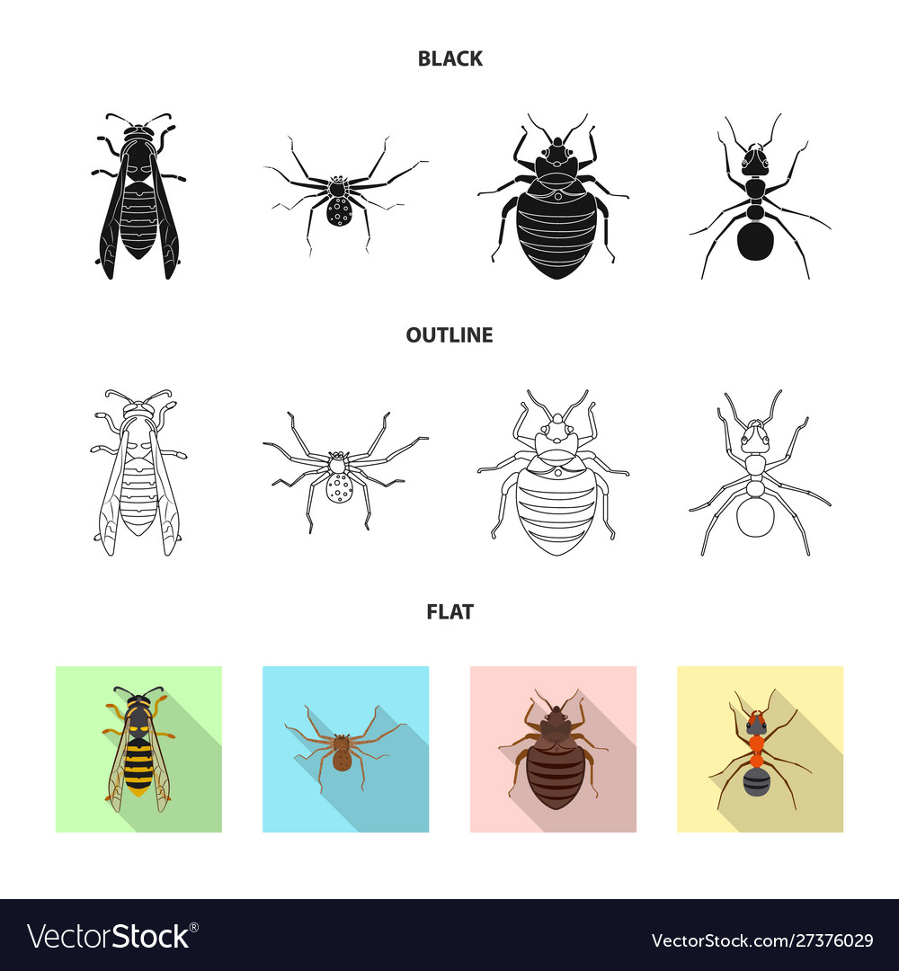 Isolated object insect and fly symbol set