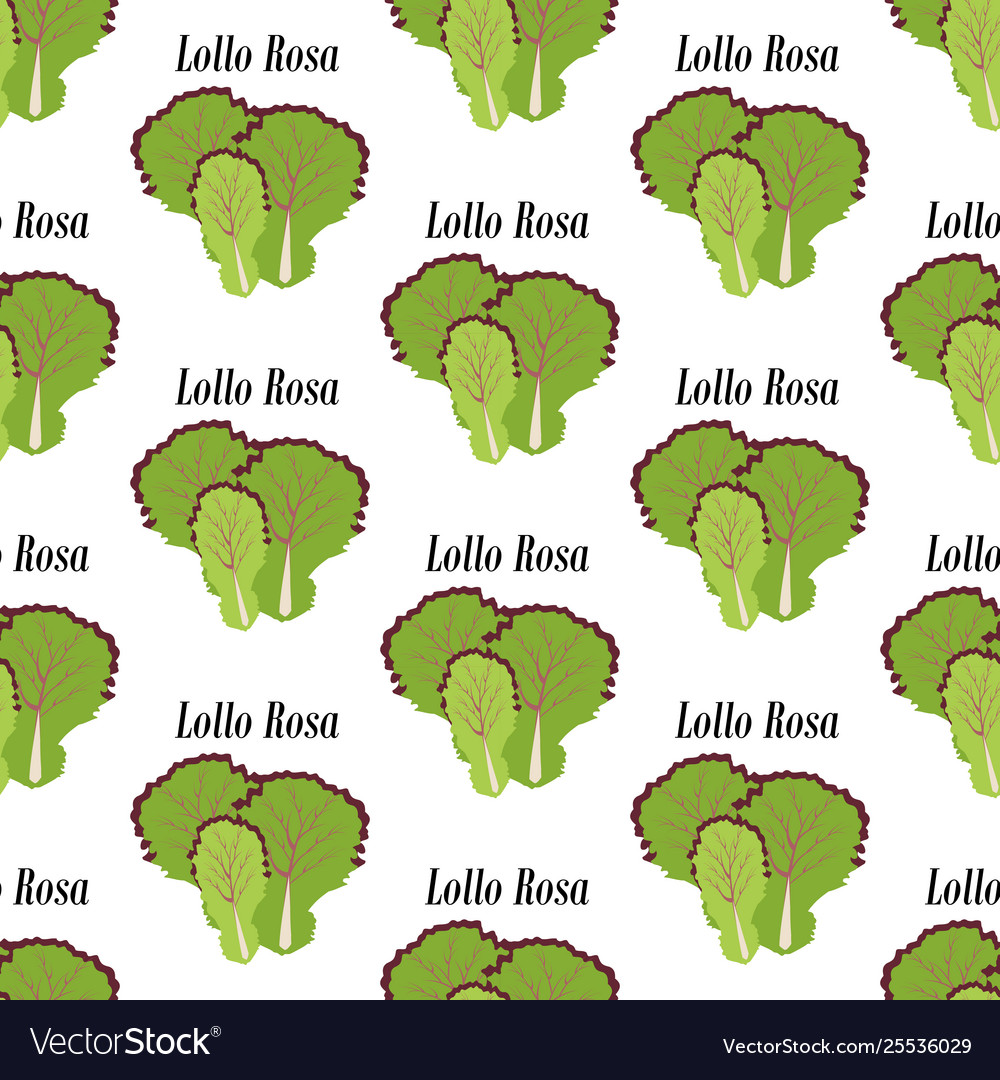 Lollo rosa seamless pattern