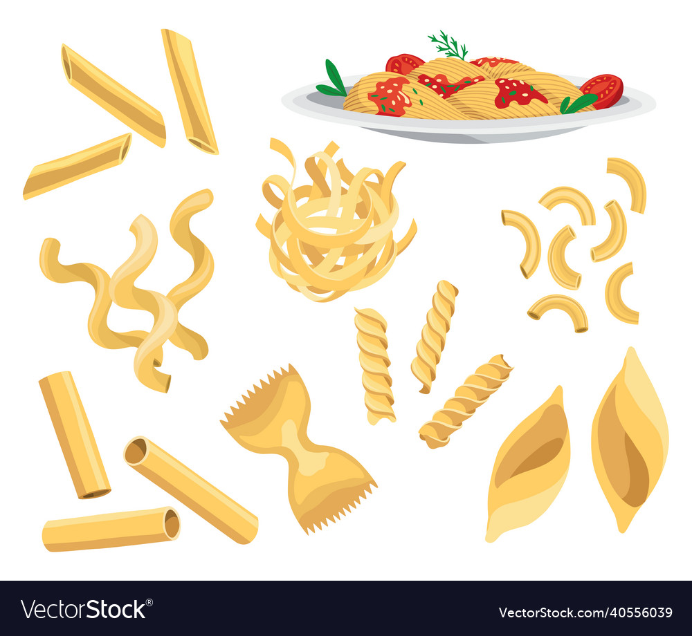 Premium Vector  Types of pasta short pasta difference illustration example  with ingredients