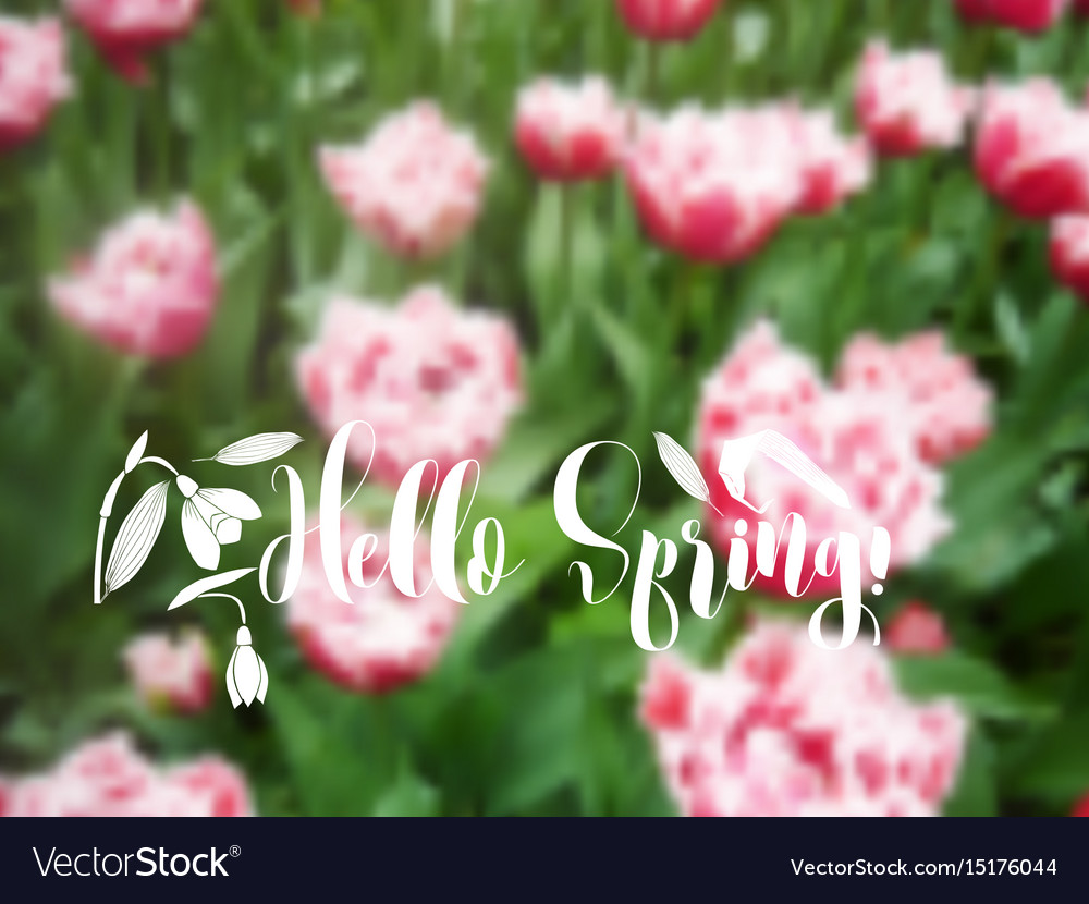 Background with spring garden flowers