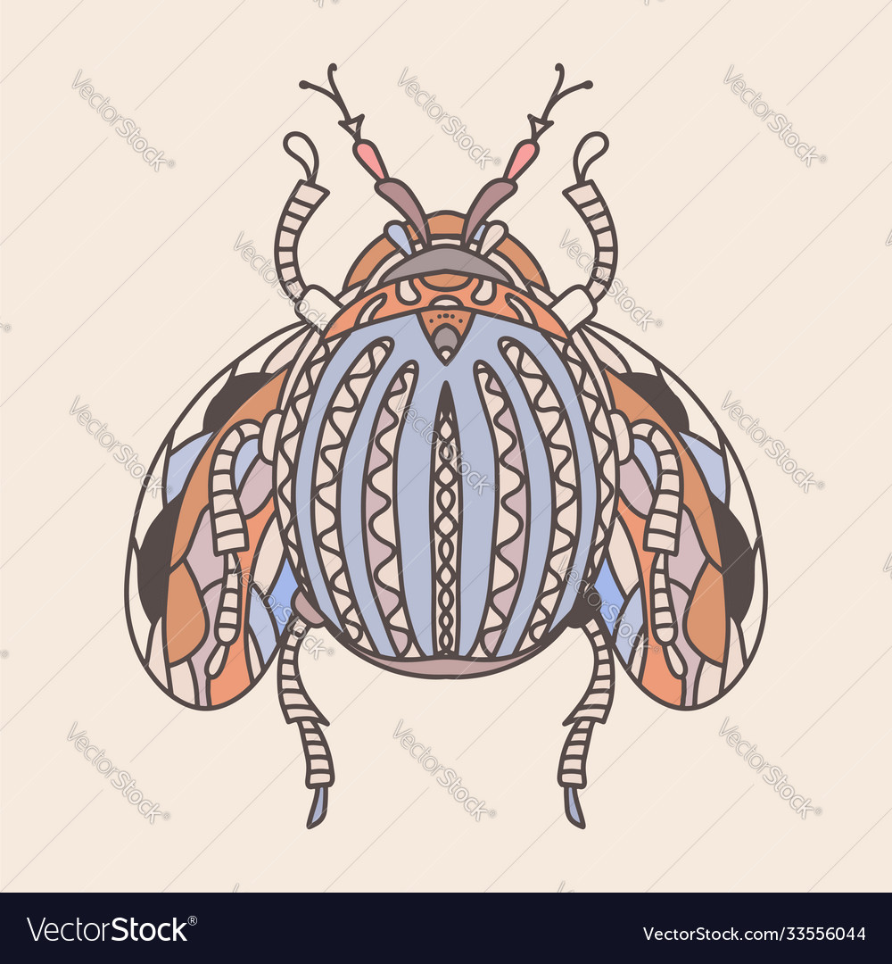 Beetle with patterns for print vector image Beetle with patterns for print