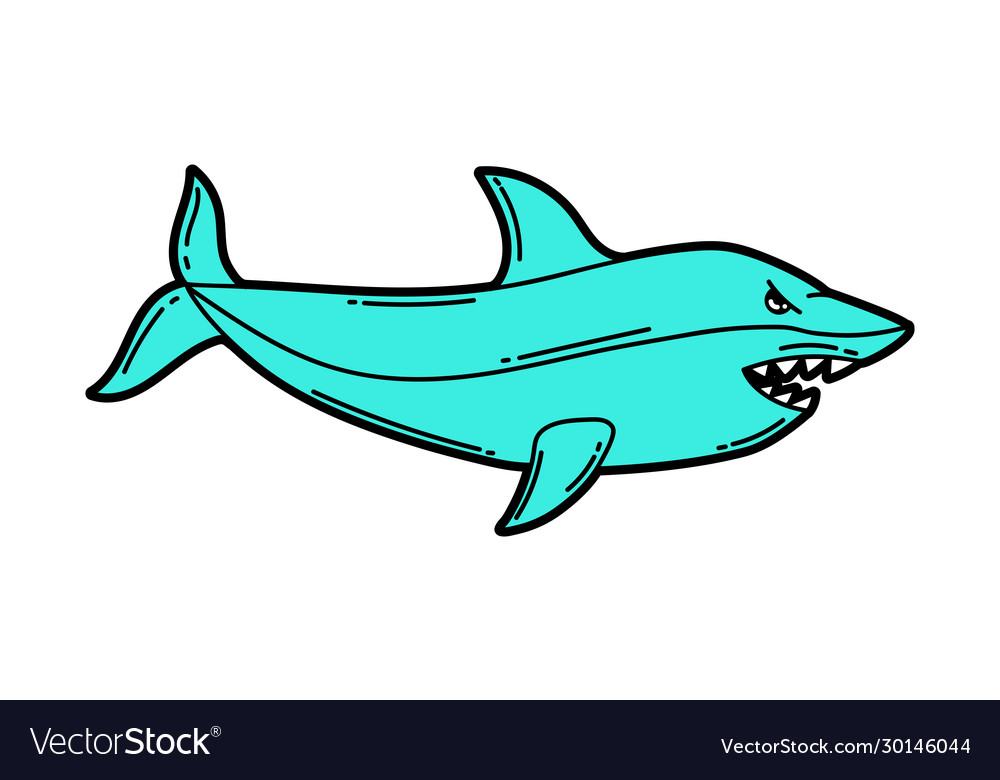 Cartoon shark urban colorful