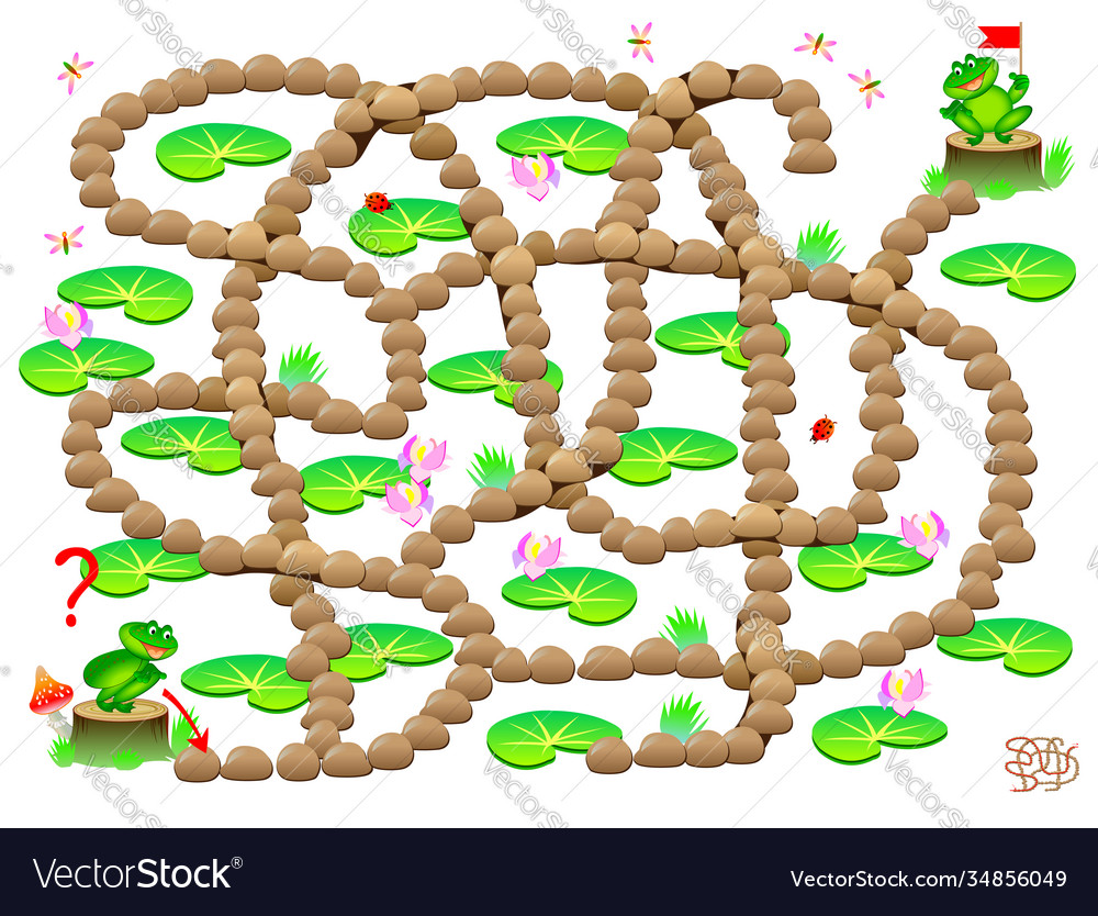 Frog Labyrinth Puzzle Game