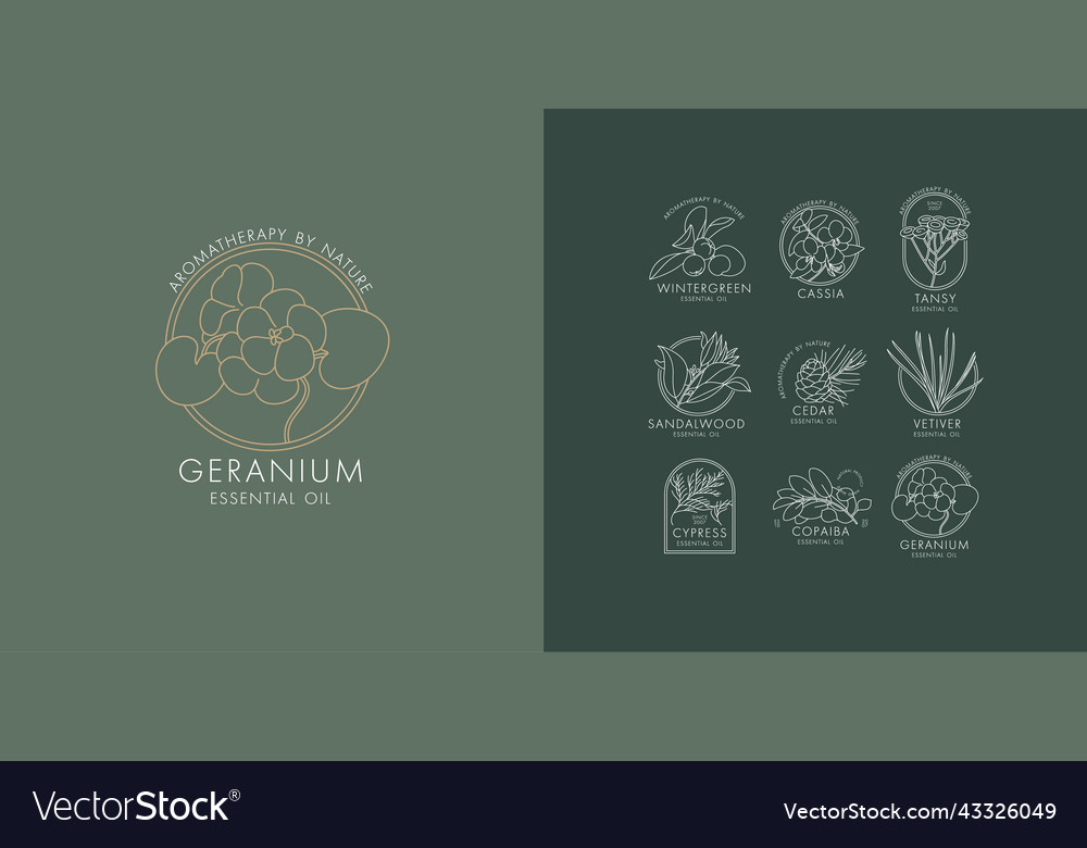 Linear set of botanical icons and emblems