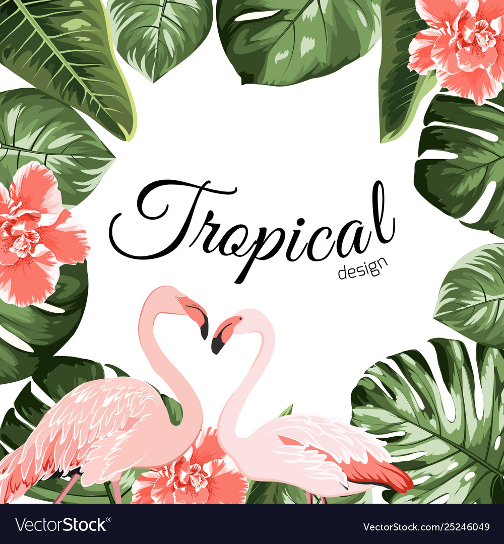 Tropical event invitation card template Royalty Free Vector