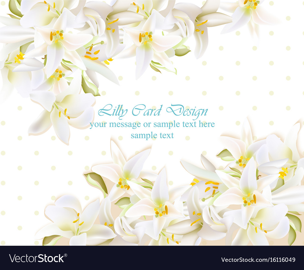 White lily delicate flowers card