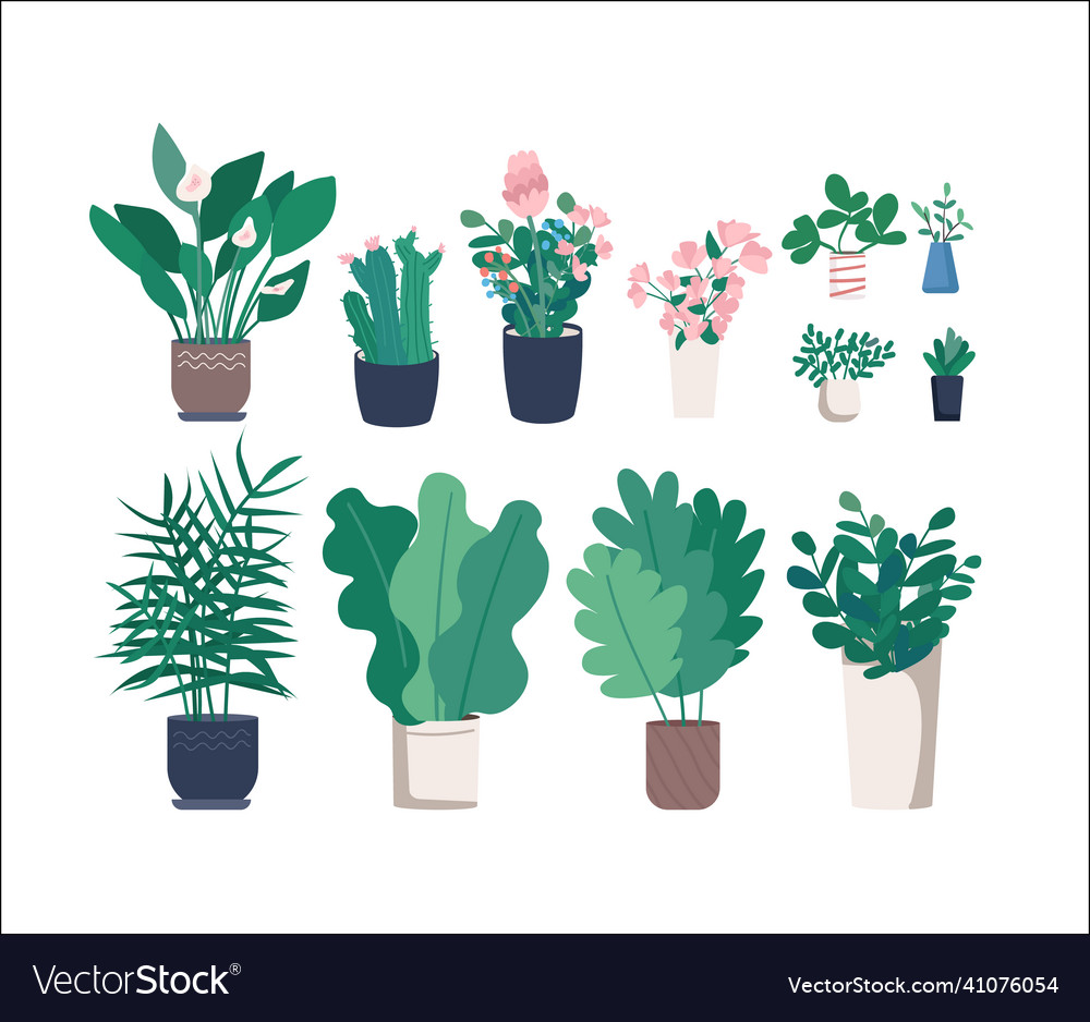 Different houseplants flat color objects set Vector Image Different houseplants flat color objects set