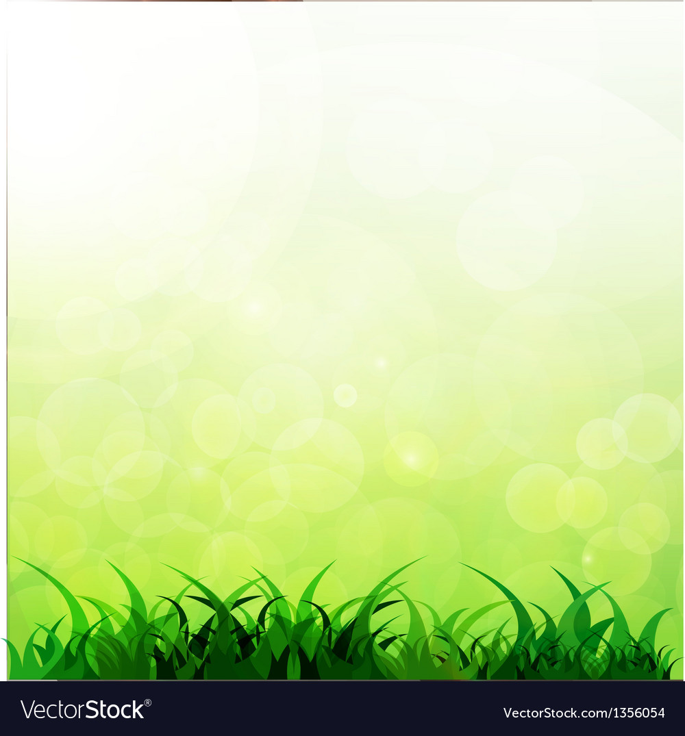 Lush Green Grass Background
