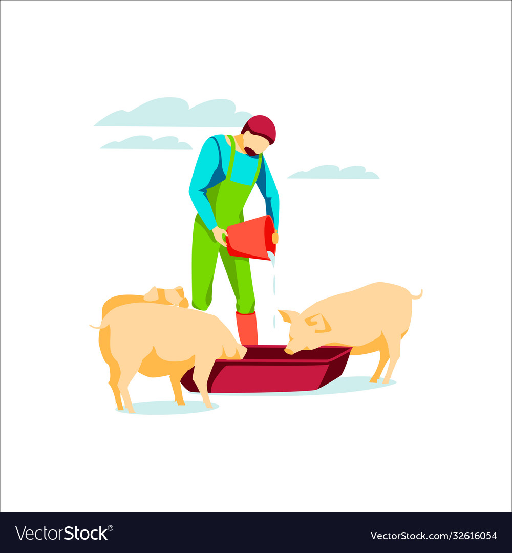 Male famer feeding pigs putting food in trough Vector Image
